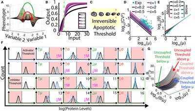 Observation and Control of Gene Expression Noise: Barrier Crossing Analogies Between Drug Resistance and Metastasis